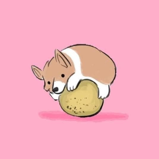 Pets
