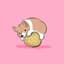 Pets