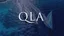 QLA