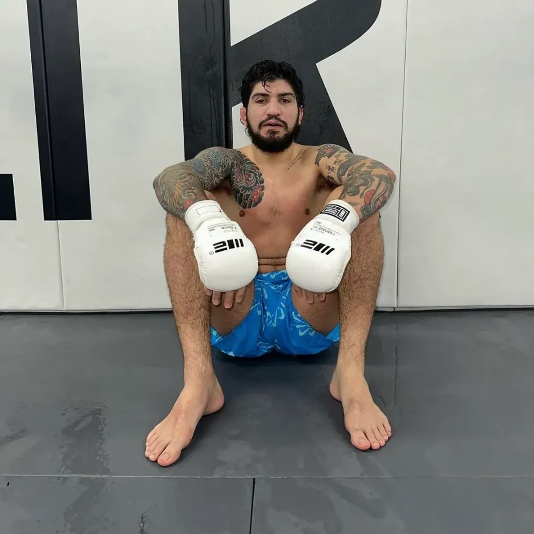 dillondanis